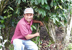 ブラジルコヘコダオンサのコーヒー豆のお話